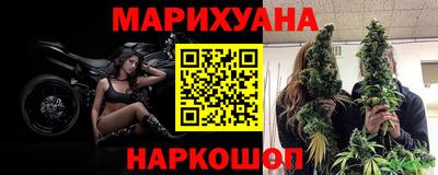 шишки Апшеронск