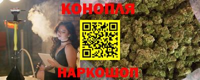 шишки Апшеронск
