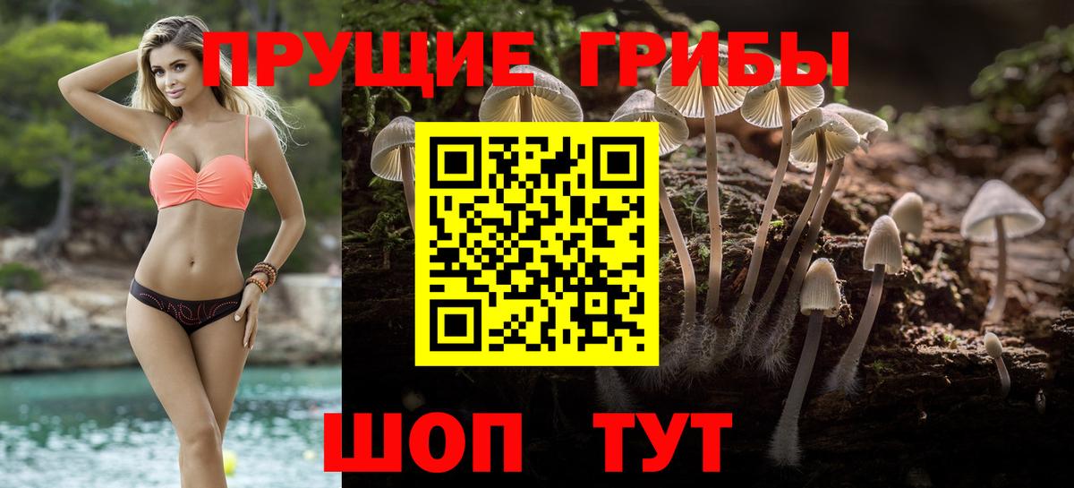 Псилоцибиновые грибы ЛСД Владивосток