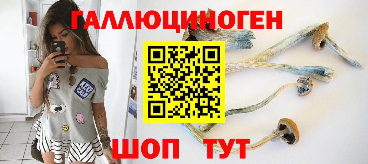 Псилоцибиновые грибы Cubensis  Галлюциногенные грибы мицелий  Вход с VPN  Владивосток 